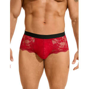 Burgundy Sexy Lace See Through Men Underwear