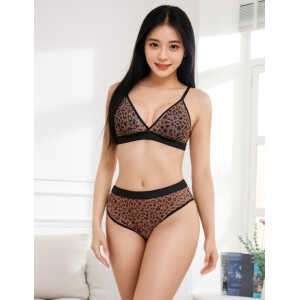 Sexy Leopard Print Mesh Bra Set